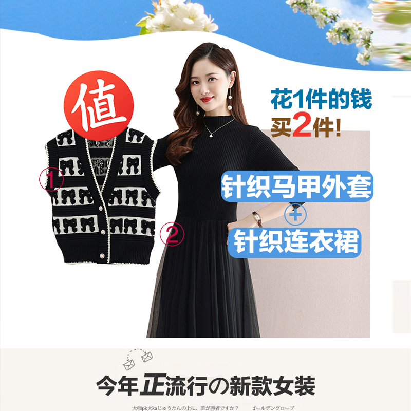 针织小马甲女外搭背心春秋2025新款冬季刺绣毛线马夹毛衣外套叠穿 - 图0