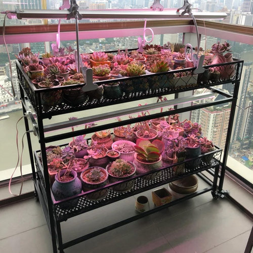 全光谱LED植物生长灯多肉补光灯室内花卉培育苗防徒上色家用灯管 - 图1