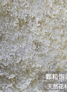 干花包满天星百万星永生花梦幻草