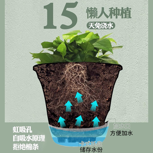 阳台加厚懒人花盆自动吸水托盘免浇水塑料客厅加仑绿萝大号清仓 - 图3