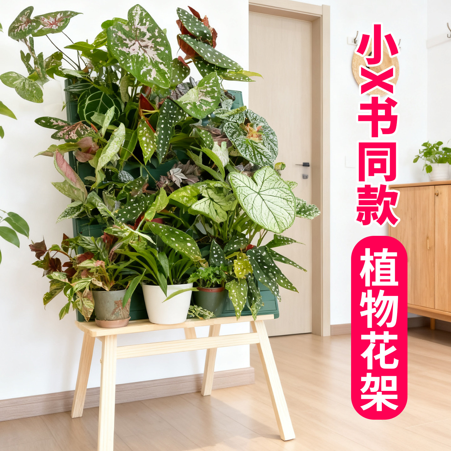 绿植墙植物种植盒客厅阳台热植花架墙洞洞板组合式种植墙自吸水,淘宝优惠券,粉丝福利购,淘宝优惠卷