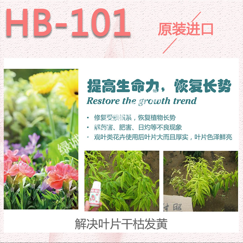 新品日本进口HB101活力液 生长素 生根发芽爆芽 直喷叶面肥促开花 - 图1