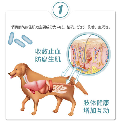 宠物狗狗外伤发炎化脓愈合止血粉猫咪绝育手术伤口消炎防腐生肌散 - 图1