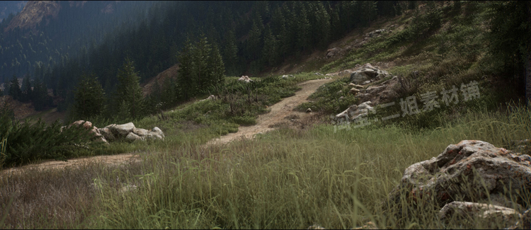 Mountain Grassland Environment 2x2 km山地草原环境UE5虚幻5.1 - 图3