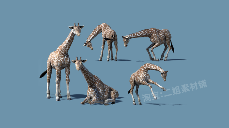 African Animal Giraffe长颈鹿4.27虚幻UE5高聚非洲动物特点角色 - 图0