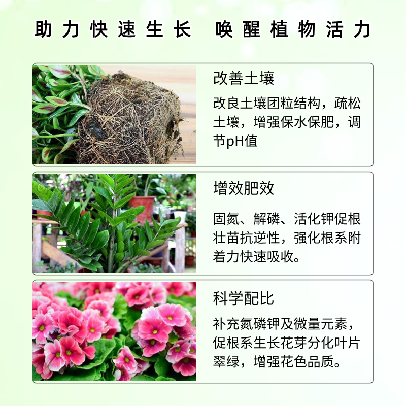 棒棒糖小木槿花专用肥营养液多色木槿室内盆栽庭院绿植花卉溶肥料 - 图1