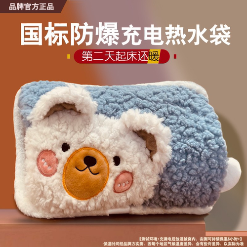 充电热水袋防爆电暖宝可拆洗暖手宝双插手暖宫暖腹月子保暖暖宝宝 - 图0