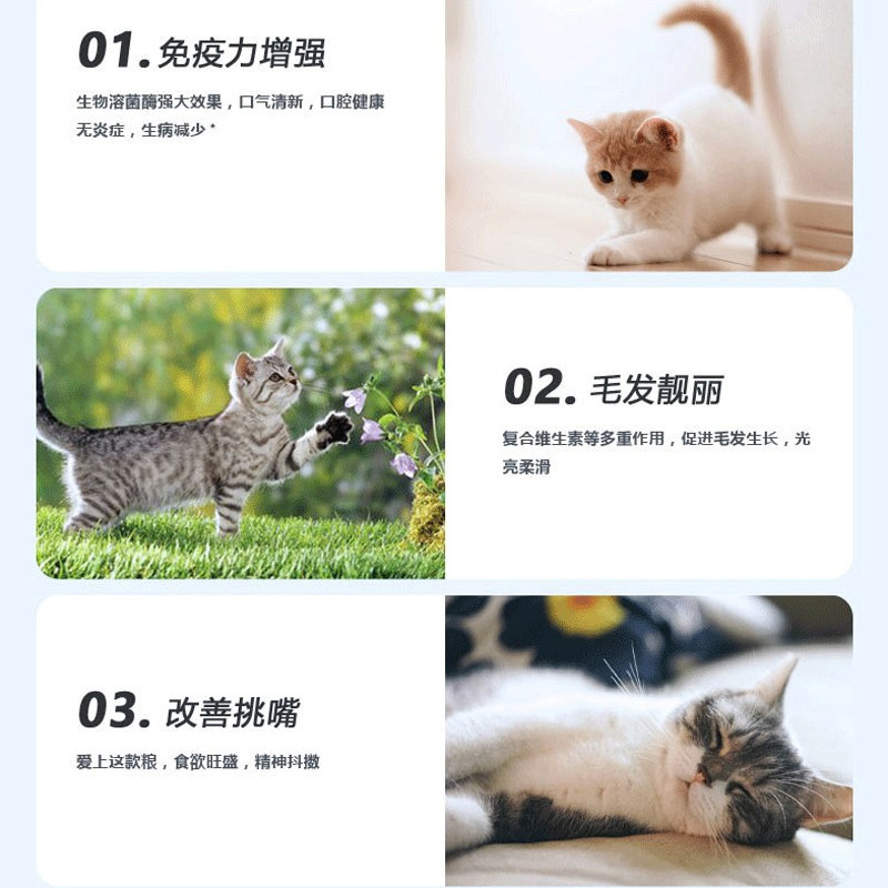 贵芬猫粮P62全价冻干溶菌酶狗粮无谷八种肉益生菌1.8kg贵芬旗舰店,淘宝优惠券,粉丝福利购,淘宝优惠卷