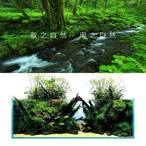 鱼缸底砂造景底沙乌龟河沙化妆沙白沙子雨林沙原生缸溪流砂铁胆沙 - 图1