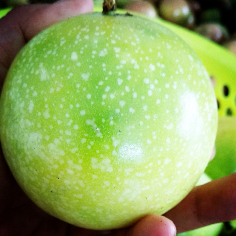  鲜小小果百香果