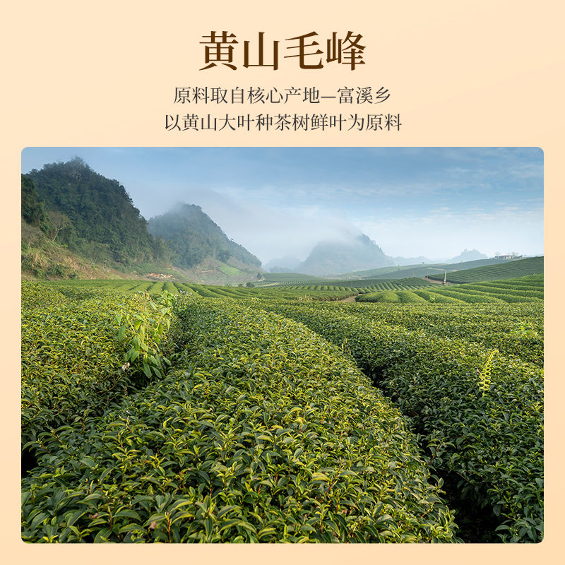 【新茶预售】2024祥源茶正宗黄山毛峰雀舌春茶毛尖绿茶罐装80g-图0