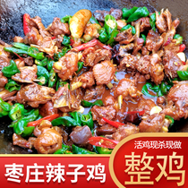 Authentic date Zaozhuang Spicy Chicken Shandong Gourmet Food Linyi Fried Chicken Vacuum Teng Zhou Yi Monxu State Special Property Now Killing Stir-fry