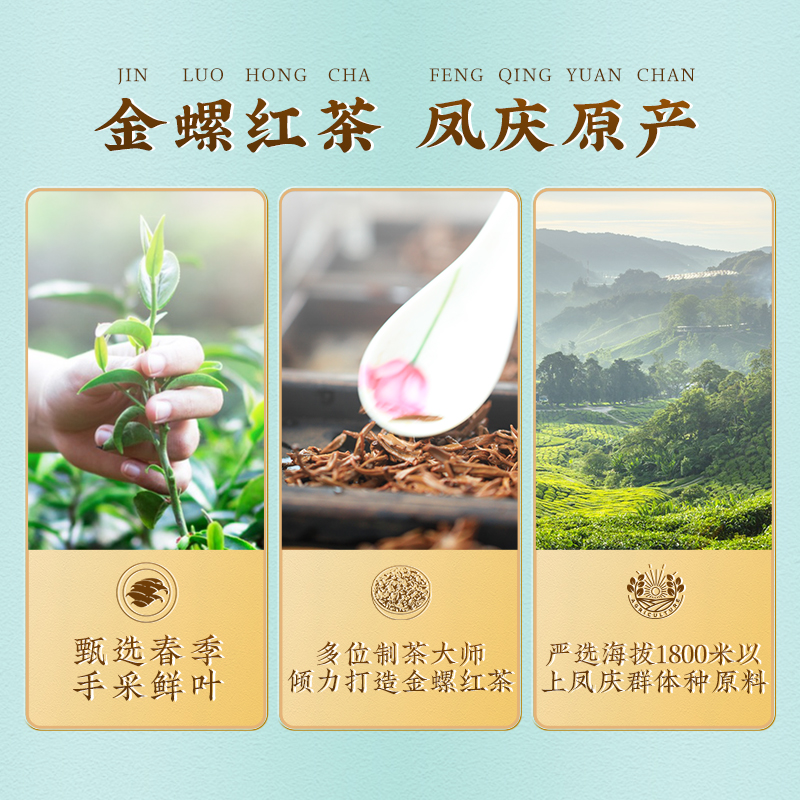 凤牌云南凤庆滇红金螺蜜香特级金丝芽经典工夫红茶叶2023新茶罐装