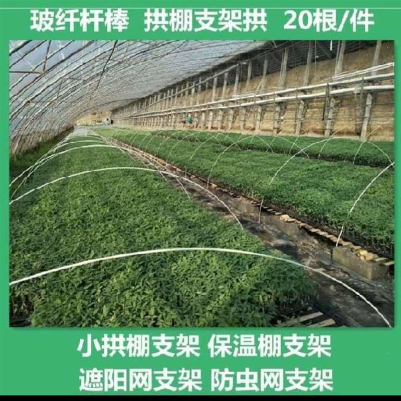 20根大棚骨架拱棚支架搭棚架子玻璃纤维种菜家庭用菜棚蔬菜小拱棚 - 图3