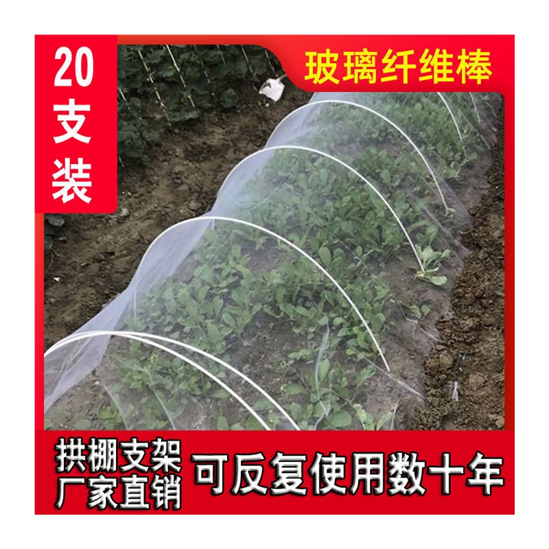 20根大棚骨架拱棚支架搭棚架子玻璃纤维种菜家庭用菜棚蔬菜小拱棚 - 图2