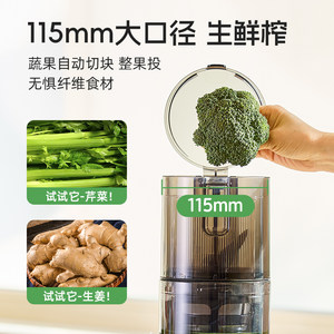 hurom惠人原汁机榨汁机全自动大口径易清洗慢磨渣汁分离E30ST
