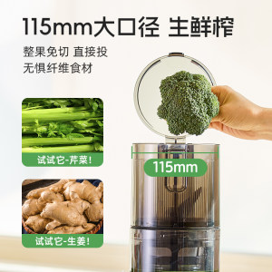 hurom惠人原汁机榨汁机大口径有网家用渣汁分离料理机烹饪机E30ST