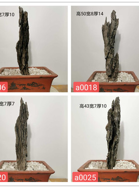 新品附树天然石头40到50厘米广东英石树抱石条盆景