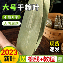 Dry Zongzongzi of Greux Rice Dumplings of Greuses Rice Dumplings of Greuses Rice Dumplings of Greux Rice Dumplings Bamboo Leaves Fresh Wholesale Flagship Store