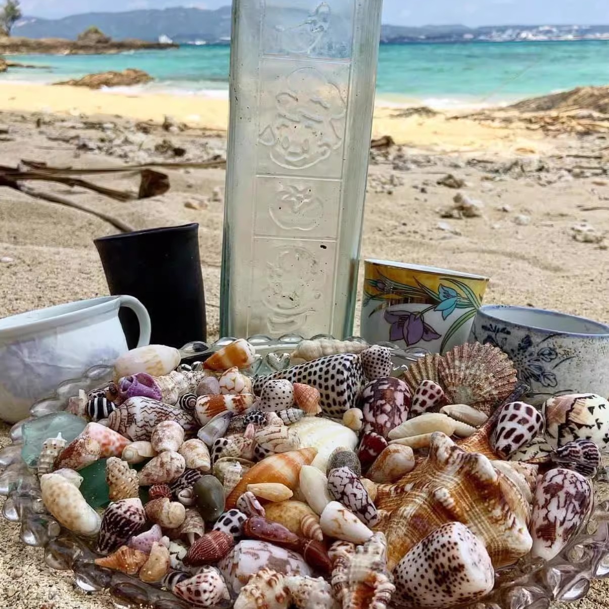 天然真贝壳海螺迷你小贝壳装饰品手工diy贝壳相框收纳盒鱼缸造景