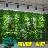 Имитационная стена Стена Зеленая растительная стена с фоновой стенкой Украшение