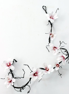 3d玉兰花藤仿真花假花树枝壁挂