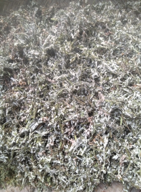 野生艾草，干艾草，中药材，泡脚泡澡