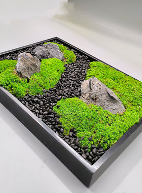 永生苔藓厂家直销免打理