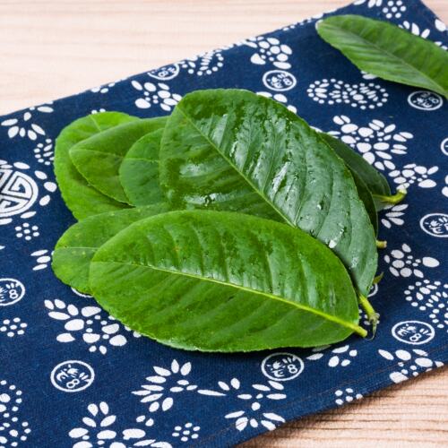 柠檬叶新鲜青柠叶西餐香料料理腌制烹饪调料500g包邮冬阴功汤原料 - 图1