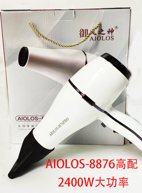 风神AIOLOS吹风机理发店专用大风力家用吹头发速干8876高配2400W