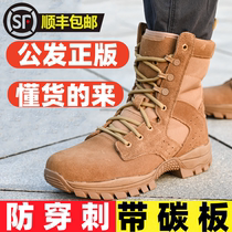 Jihua Combat Training Boots Mens Waterproof and Anti-Puncture Training Boots Summer Mesh New Outdoor Mountaineering Desert Boots