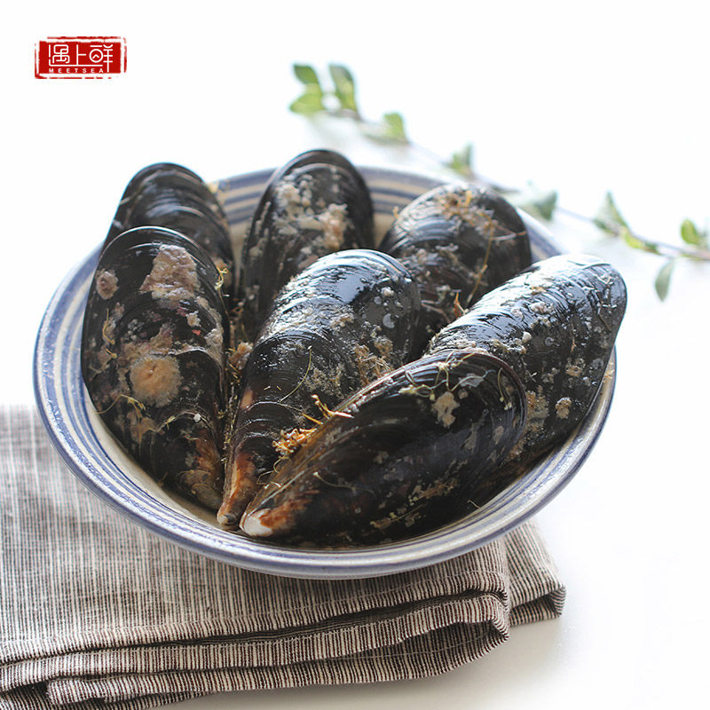 【顺丰到家】嵊泗大号海虹鲜活特大新鲜海鲜水产淡菜贻贝青口贝,淘宝优惠券,粉丝福利购,淘宝优惠卷