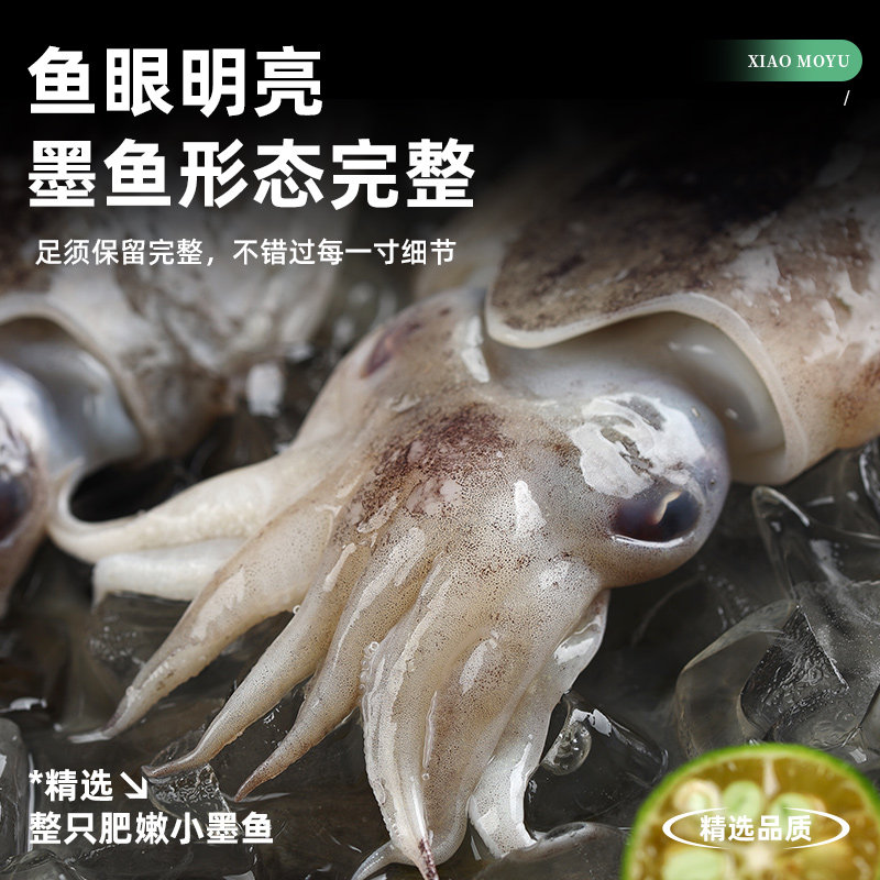 遇上鲜舟山野生小墨鱼仔鲜活新鲜生鲜冷冻东海目鱼仔乌贼鲜活海鲜,淘宝优惠券,粉丝福利购,淘宝优惠卷