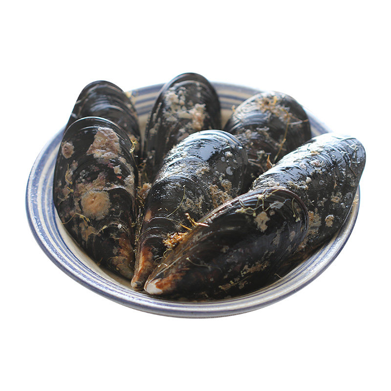 【顺丰到家】嵊泗大号海虹鲜活特大新鲜海鲜水产淡菜贻贝青口贝,淘宝优惠券,粉丝福利购,淘宝优惠卷