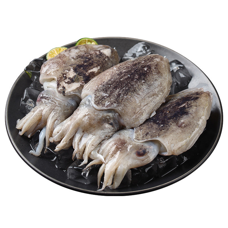 遇上鲜舟山野生小墨鱼仔鲜活新鲜生鲜冷冻东海目鱼仔乌贼鲜活海鲜,淘宝优惠券,粉丝福利购,淘宝优惠卷