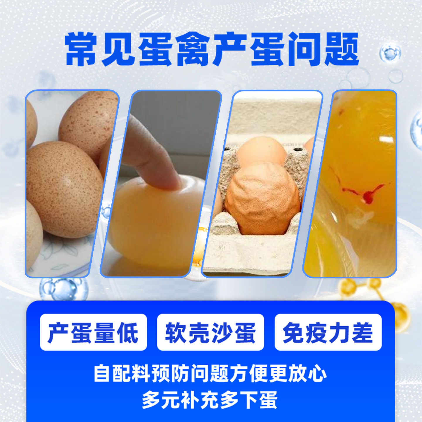 2%蛋鸡预混料,淘宝优惠券,粉丝福利购,淘宝优惠卷