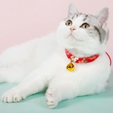 Более 10 000 повторных клиентов в магазине, более 20 цветов, кошачьи воротники, индивидуальные бренд кошачьи бренды, борьба с брендами, бренд кошачьи бренд подвесные ювелирные украшения