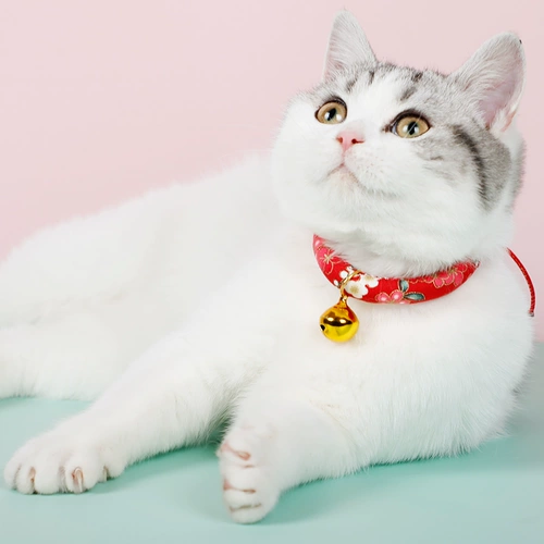 Более 10 000 повторных клиентов в магазине, более 20 цветов, кошачьи воротники, индивидуальные бренд кошачьи бренды, борьба с брендами, бренд кошачьи бренд подвесные ювелирные украшения