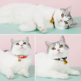 Более 10 000 повторных клиентов в магазине, более 20 цветов, кошачьи воротники, индивидуальные бренд кошачьи бренды, борьба с брендами, бренд кошачьи бренд подвесные ювелирные украшения