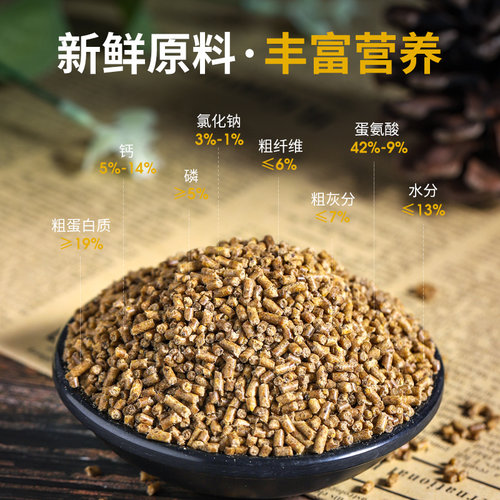 威毕八哥饲料鹩哥鸟食饲料营养鸟料八哥鸟专用食物鹩哥鸟粮5斤装 - 图2