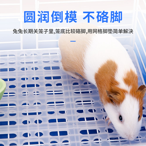 兔子脚垫防啃咬宠物荷兰猪防卡脚垫塑料网格板垫子漏粪底板兔笼 - 图1