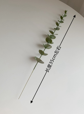 ins冷淡风绿植摆件家装金钱假花