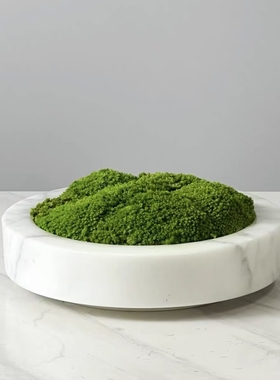 现代轻奢永生苔藓装饰摆件