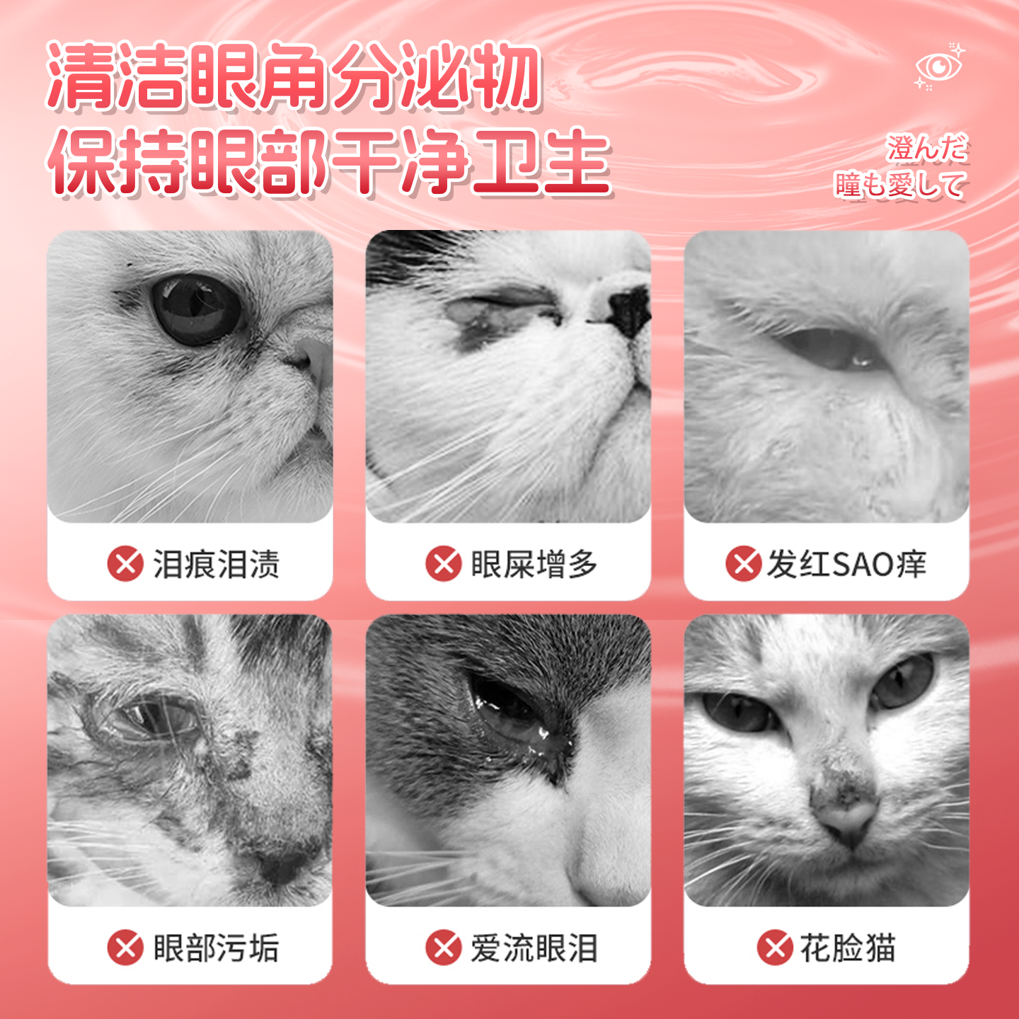 宠物湿巾猫咪比熊博美去泪痕狗狗消擦眼睛神器除眼屎眼部清洁用品,淘宝优惠券,粉丝福利购,淘宝优惠卷