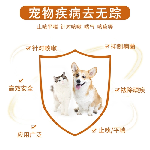 爱纳它 Кашель астма, домашняя кошка, собака, кашель, лекарство от холодного