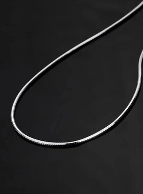 钛钢项链 蛇骨链极简小众素链潮流ins细链不掉色嘻哈锁骨链毛衣链