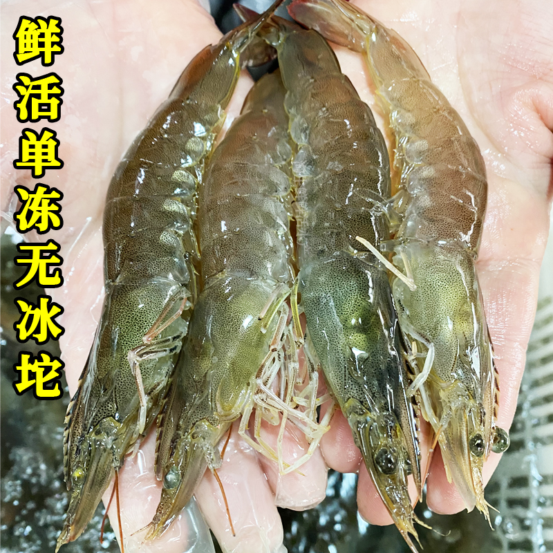 4斤海虾鲜活速冻海鲜生鲜水产大虾速冻大对虾顺丰净重3.6斤盒装 - 图0