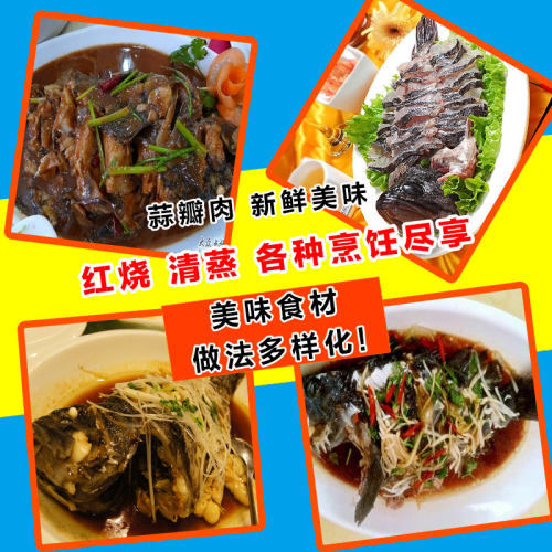 青岛海捕黑头鱼鲜活海鱼包邮海鲜冷冻水产新鲜豆腐鱼猪嘴鱼寨花鱼 - 图2