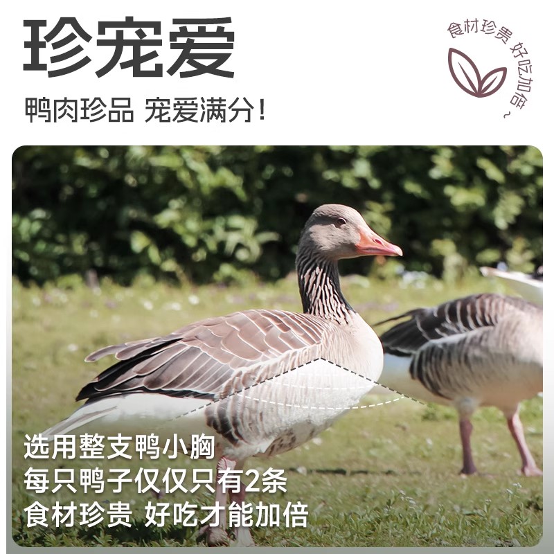 狗狗零食鸭肉干鸡肉干磨牙棒幼小型犬鸡胸肉宠物零食营养训练奖励 - 图2