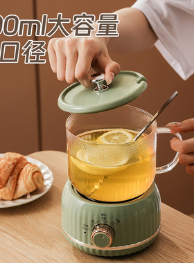 养生壶家用保温煮茶器烧水多功能